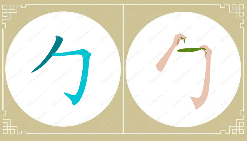 包字头